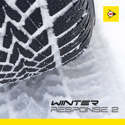 Winter Response 2 Detail